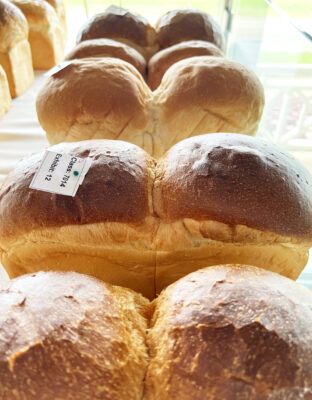 2022 King of Bakers - Class 7012