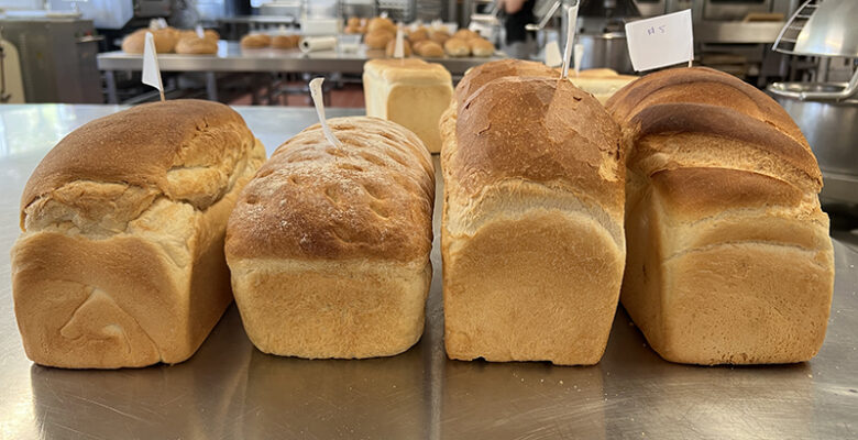 Bread Entries in the 2022 Northern Territory Baking Show