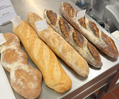 2023 Northern Territory Baking Show - Baguettes