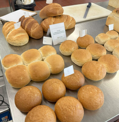 2023 Northern Territory Baking Show - Bread rolls