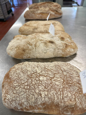 2023 Northern Territory Baking Show - Sourdough Category 2