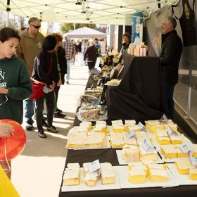 2024 Great Australian Vanilla Slice Triumph - Judging