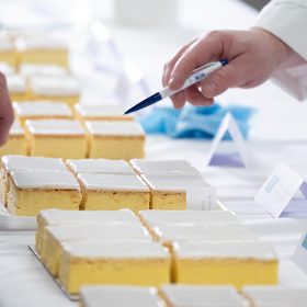 2024 Great Australian Vanilla Slice Triumph - Judging